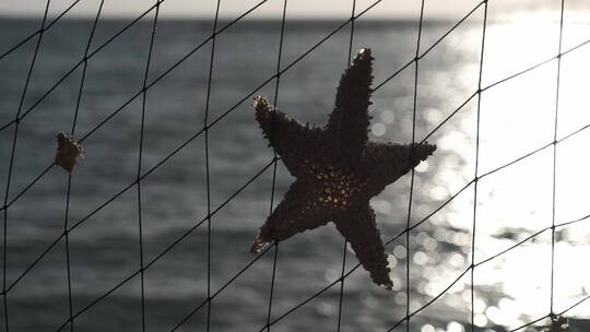 墨西哥加勒比海茅草屋海星布置空镜地拍