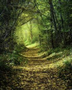 声浪热浪 自由 流行摇滚 旅途 宣传片 声浪热浪 自由 流行摇滚 旅途 宣传片