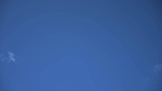 在蓝天盘旋的老鹰视频素材模板下载