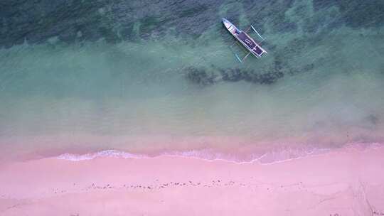 粉红海滩视频素材模板下载