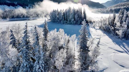 新疆旅游地-喀纳斯、禾木（冬季雪景晨雾）