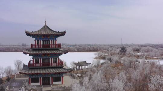 酒泉天马湖雾凇雪景