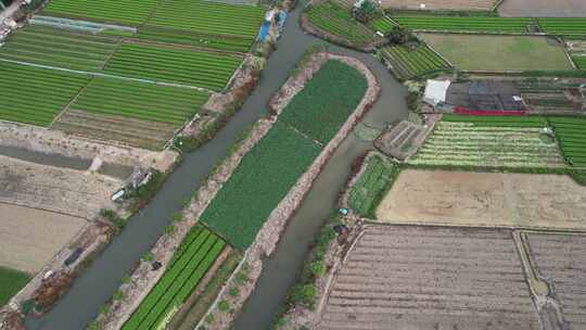 农业基地农作物种植航拍