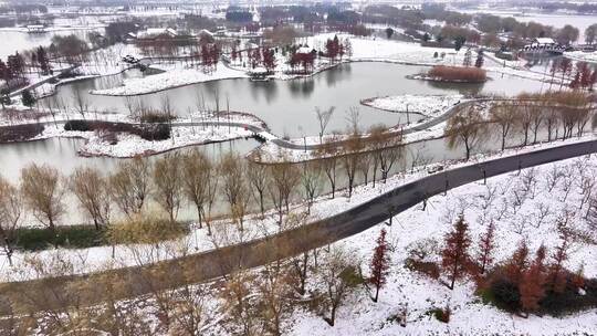 航拍湿地公园雪景树林湖岛