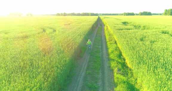 鸟瞰骑自行车穿过旧乡村公路上的麦草地的小