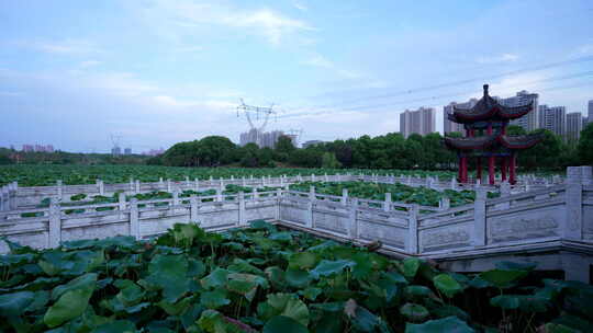 武汉江夏区谭鑫培公园