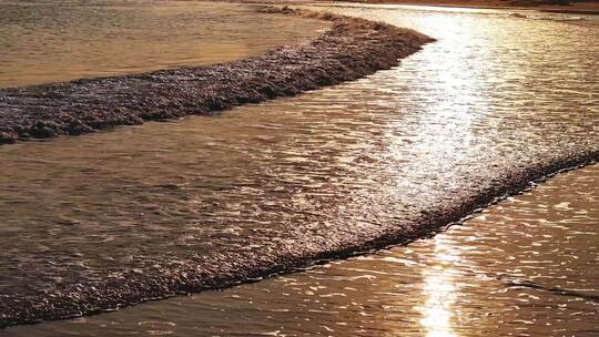 金色阳光照耀下的海边沙滩和海浪