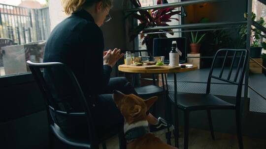 咖啡店里狗在女人旁边呆着视频素材模板下载