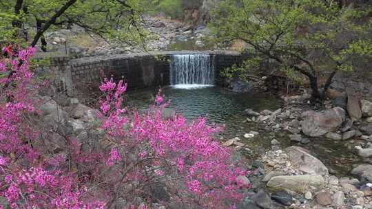 泰山彩石溪的春天