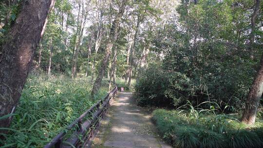 杭州玉皇山景区吴越郊坛遗址