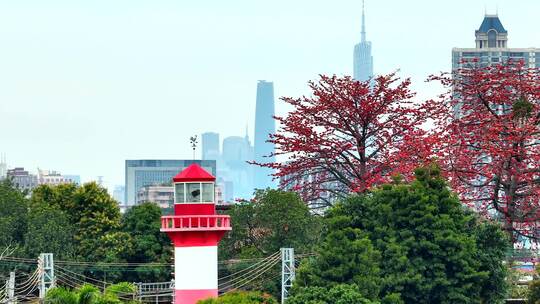 航拍广州上滘船厂木棉花与广州地标建筑视频素材模板下载