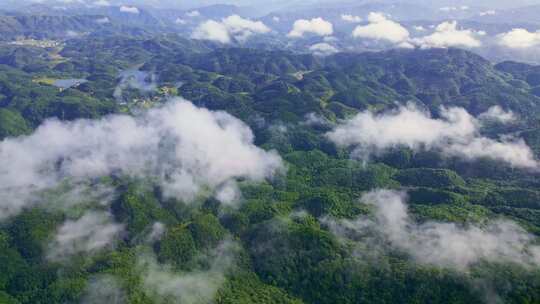 航拍云雾森林山林青山自然美景