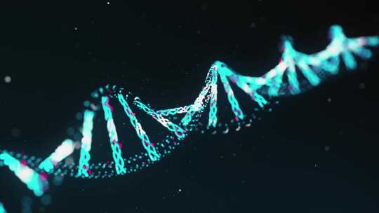 DNA序列动画
