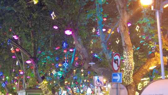 城市夜景灯光装饰树枝树叶实拍