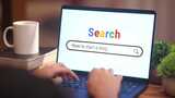 搜索如何创建博客？在互联网上高清在线视频素材下载