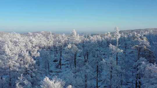 高山雾凇