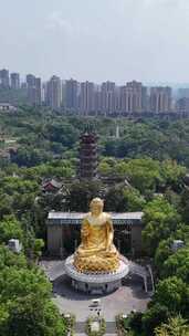 竖屏航拍重庆华岩旅游风景区华岩寺