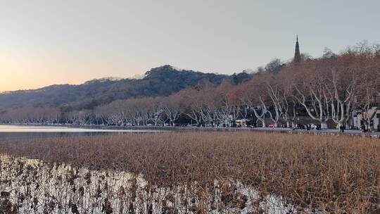 西湖边的冬季景象