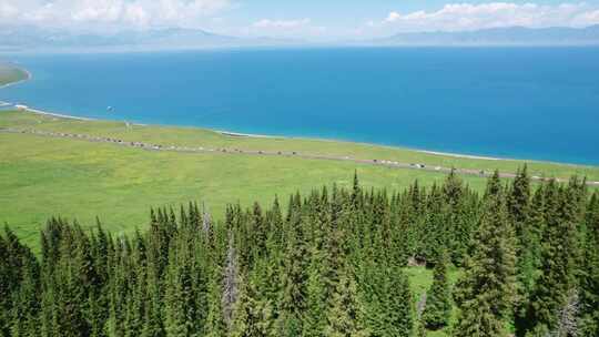 赛里木湖云杉区航拍视角