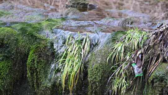 长满青苔岩石上的流水