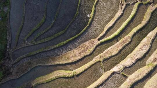 航拍山村田园湖南紫鹊界梯田