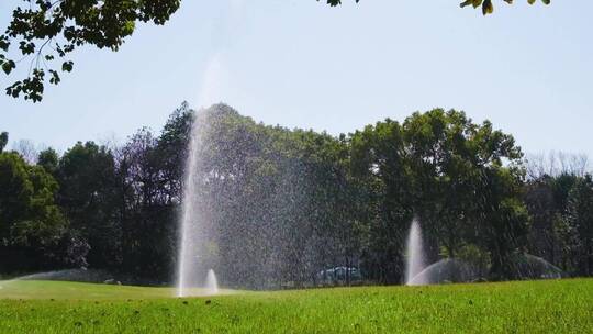 城市草坪洒水喷水逆光升格视频