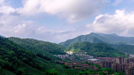 航拍杭州西湖龙井茶园延时