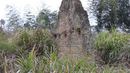 废弃山寨院子土墙