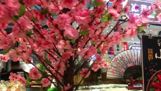 餐厅的樱花树
