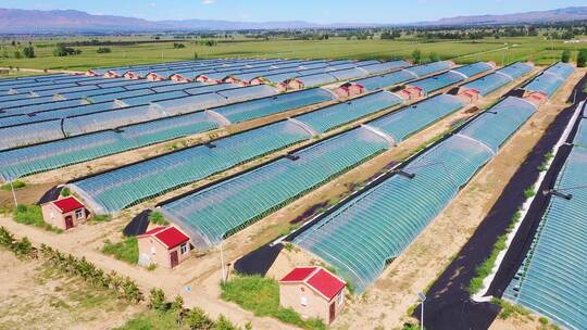 蔬菜大棚航拍 蔬菜基地 蔬菜冬季大棚 合集