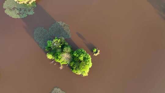 航拍四川西昌邛海湿地公园风光视频素材模板下载