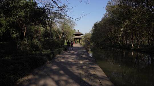 杭州西湖十景茅家埠水乡风景