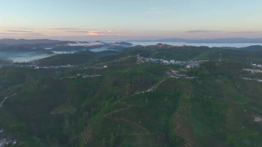 航拍云雾中的茶山茶园