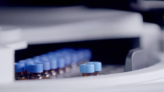 化验室 生物 细胞 培养 实验