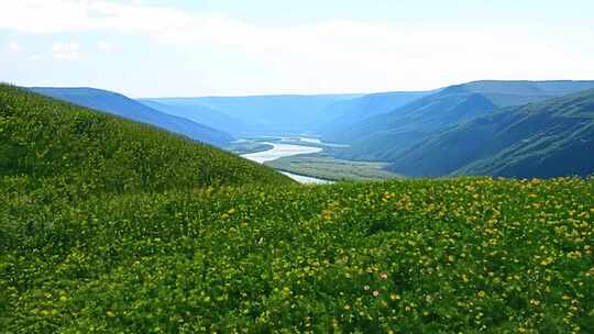 有鲜花点缀的开阔山川自然风光