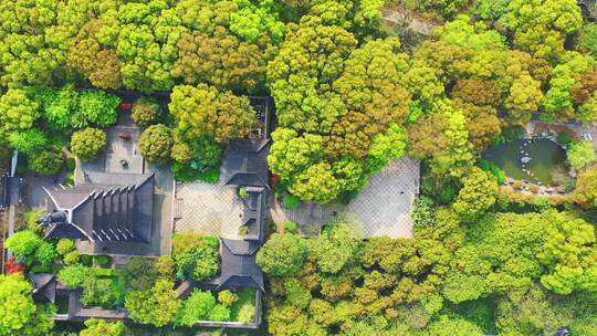 苏州铜观音寺樱花航拍