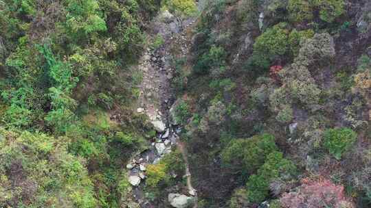 航拍秦岭秋天景色山涧溪水