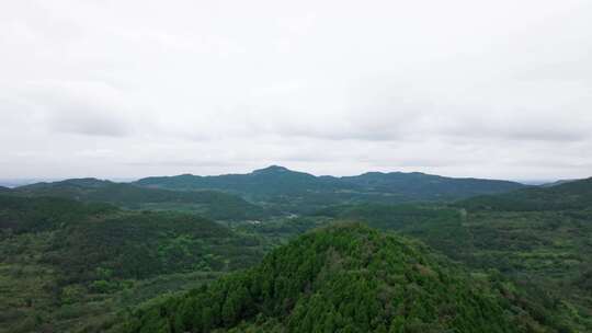 森林阳光山脉树林村庄照片树木高清自然