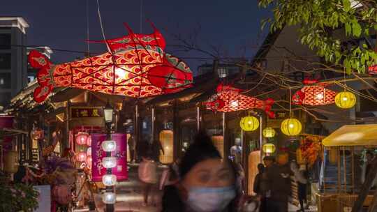 上海蟠龙天地延时鱼灯花灯灯笼春节新年夜晚