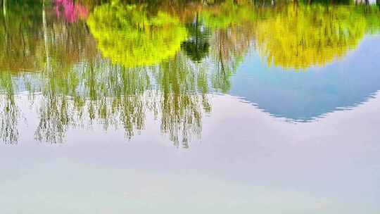 春天五彩缤纷的田园水边风景在水中的倒影视频素材模板下载