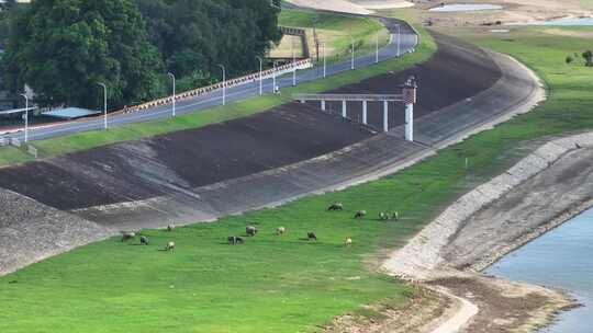 中国广东省佛山市三水芦苞镇胥江祖庙