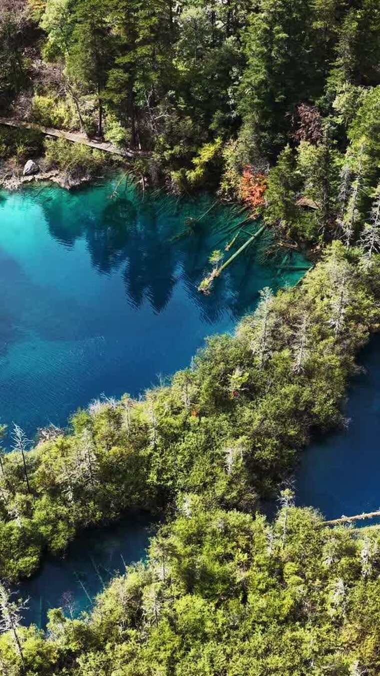 四川阿坝九寨沟秋色秋景航拍实拍
