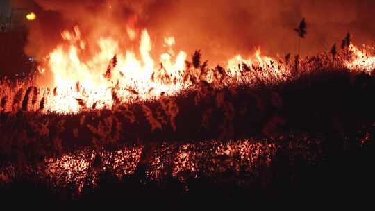 火灾大火山火现场