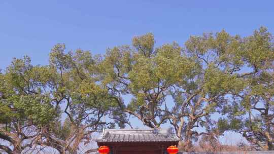 杭州西湖净慈寺建筑风景