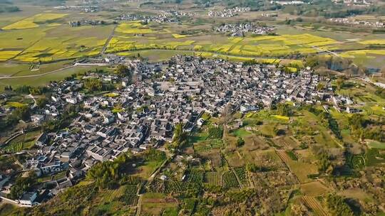 唯美意境，原谅所有的不辞而别，大自然的美