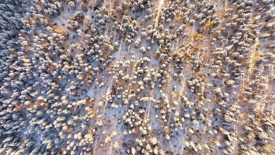 《高清4K60帧》牡丹江中国雪乡航拍林海雪原
