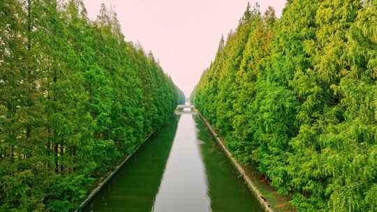 航拍河道、河道治理