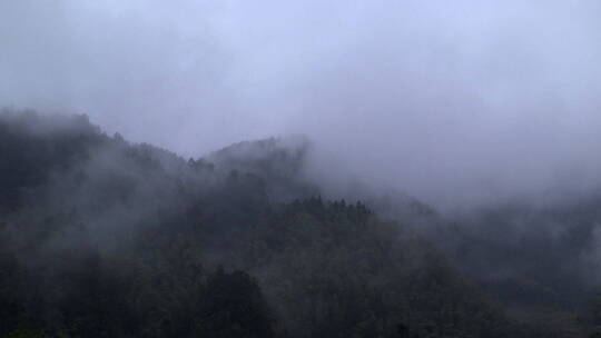 山中的雾3