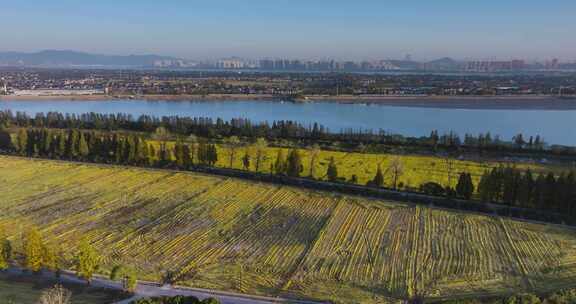 杭州西湖区双浦钱塘江五丰岛沿江航拍风光