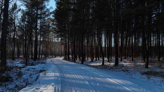 通向林海雪原的雪路